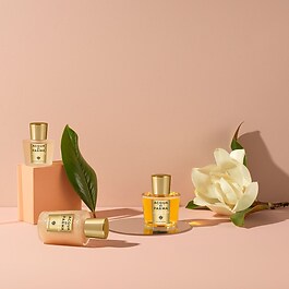Magnolia Nobile